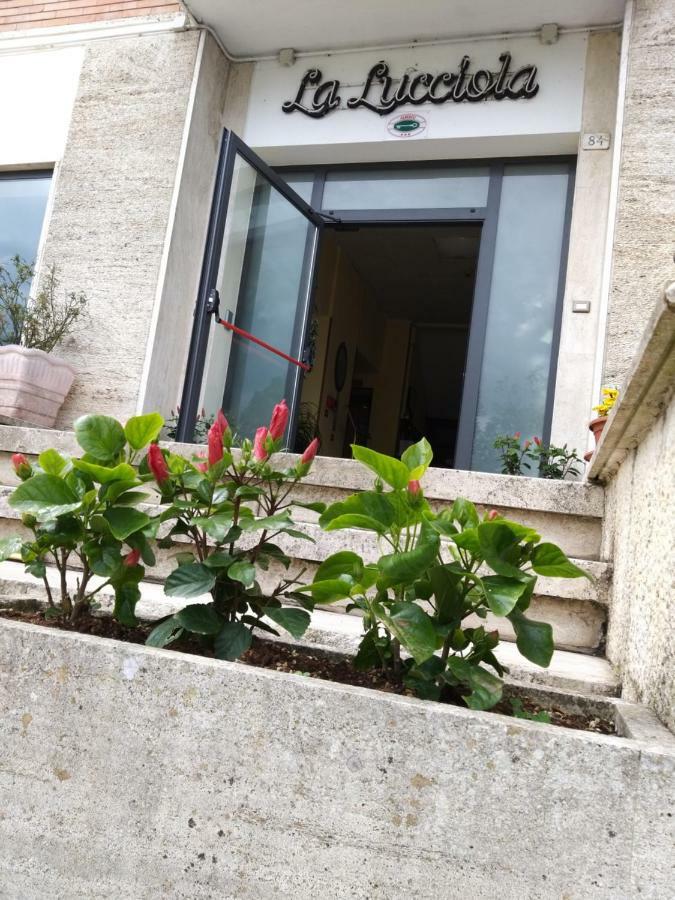 Hotel La Lucciola Chianciano Terme Exteriér fotografie